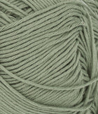 Mandarin Petit Dusty Sage 9041
